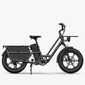 Fiido T2 Vélo électrique Longtail Fatbike Cargo